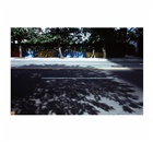 dailyPhoto4